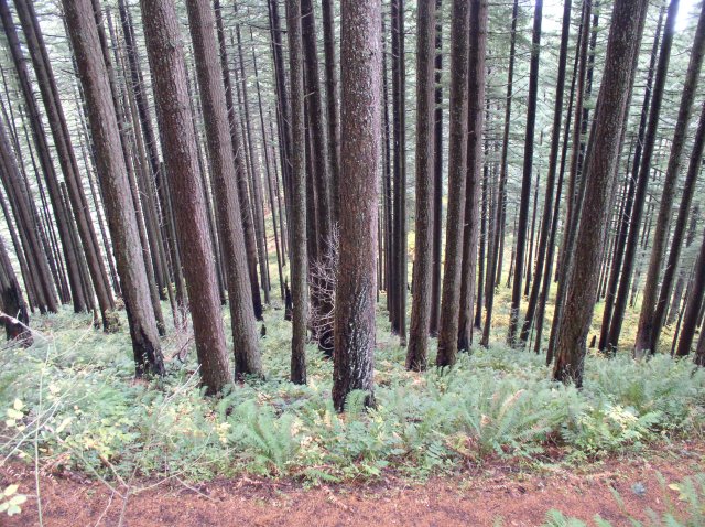 10.28.05 Devil's Rest 106 